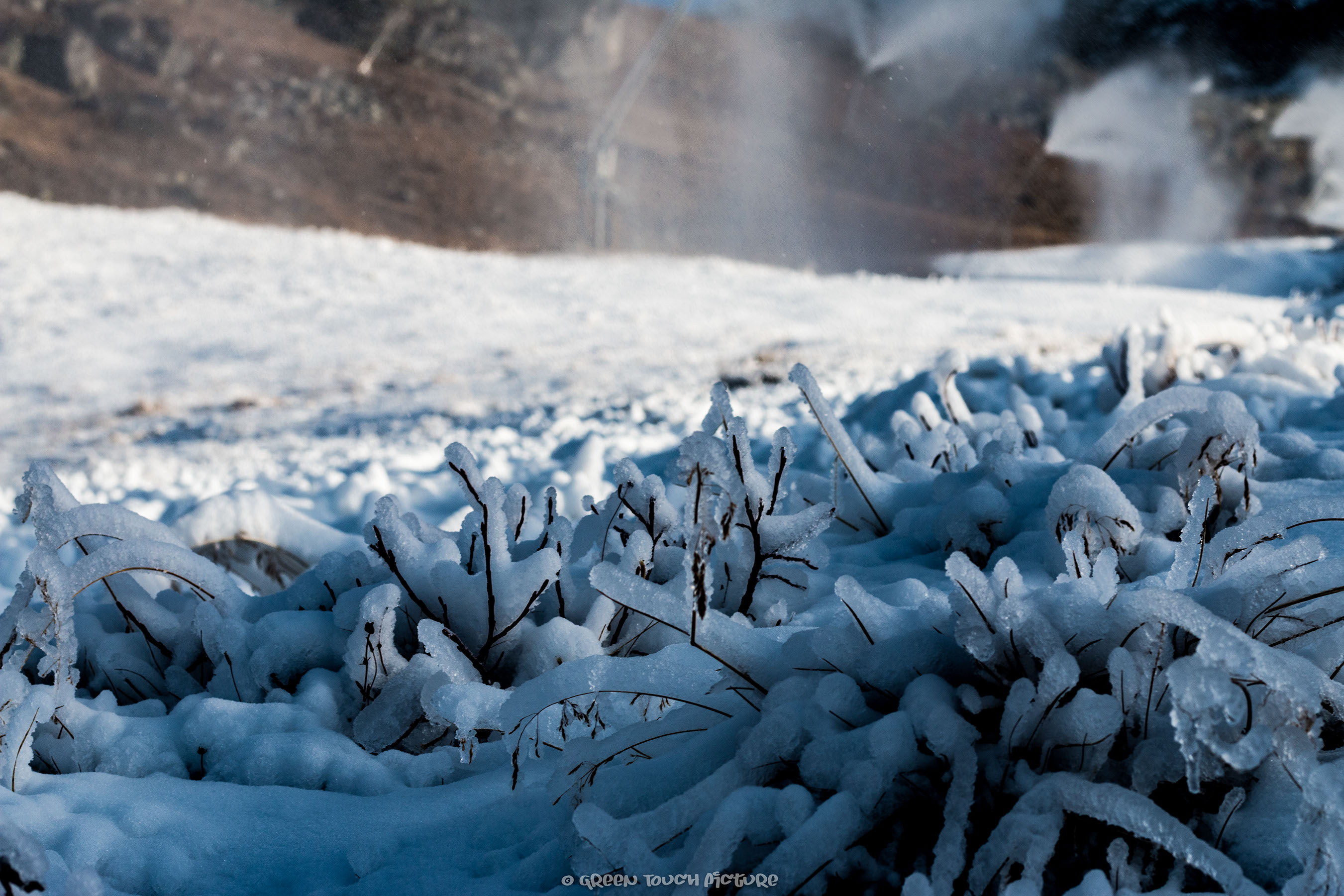 Landscape, Snow, Artificial, Mountain, Engadine, Silvaplana, Green Touch Picutre, Theodore Heitz